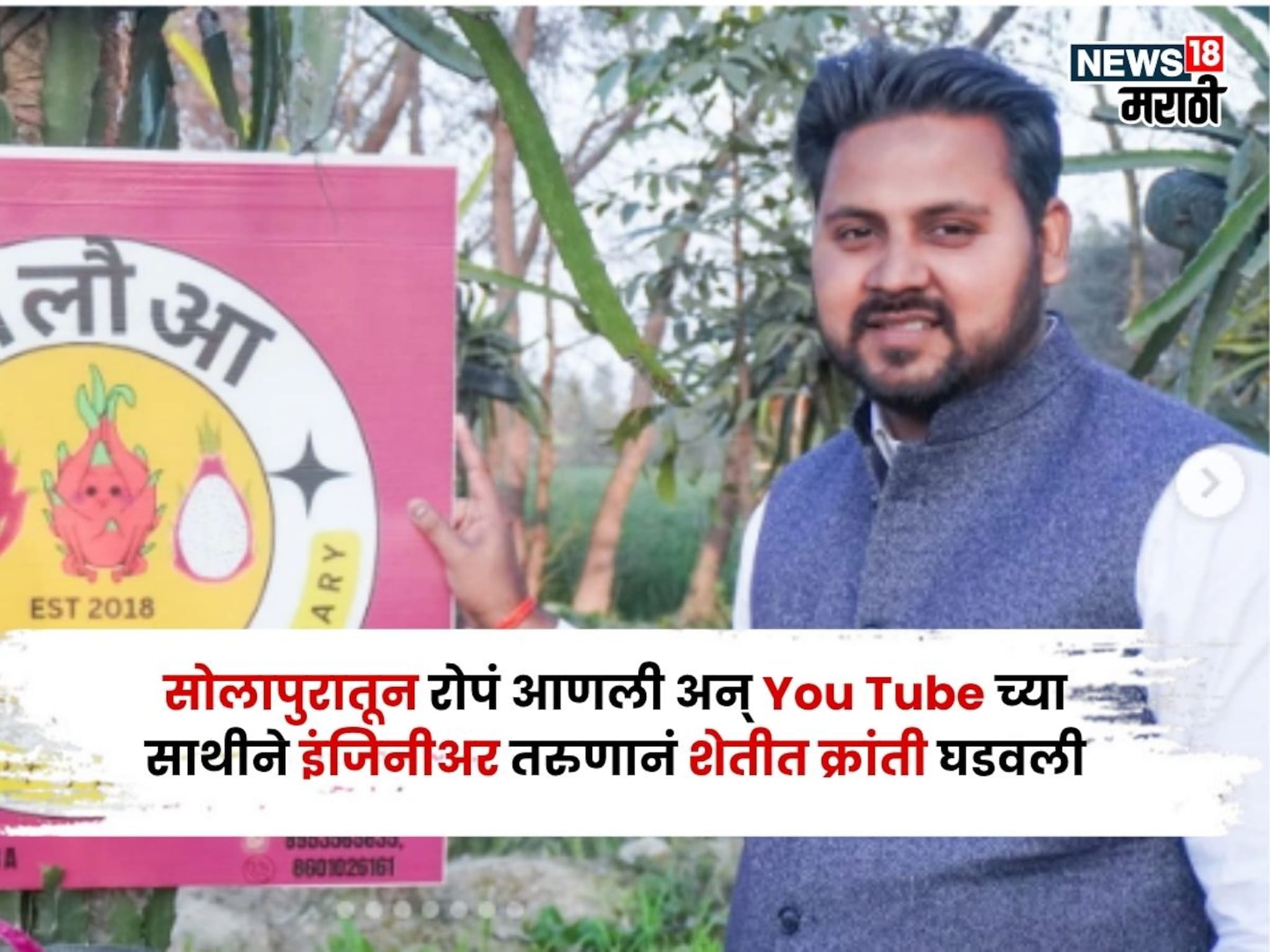एक एकर नापीक रान, सोलापुरातून रोपं आणली अन् इंजिनीअर तरुणानं शेतीत क्रांती घडवली, करतोय १८ लाखांची कमाई