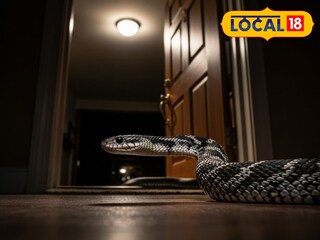 आता सापांचं संकट (प्रतिकात्मक फोटो) आता सापांचं संकट (प्रतिकात्मक फोटो)