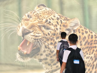 शाळेच्या वेळा बदलल्या 