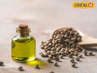 एरंडीचं तेल औषधी असताना मग त्यापासून विष कसं काय बनतं? वाचा सविस्तर