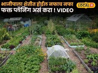 भाजीपाला शेतीत होईल नफाच नफा, स्मार्ट प्लॅनिंग कसं करावं? तज्ज्ञांनी दिला महत्त्वाचा सल्ला