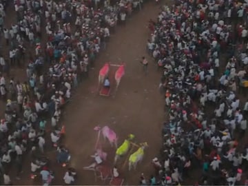 sangli bailgada Sharyat sangli bailgada Sharyat