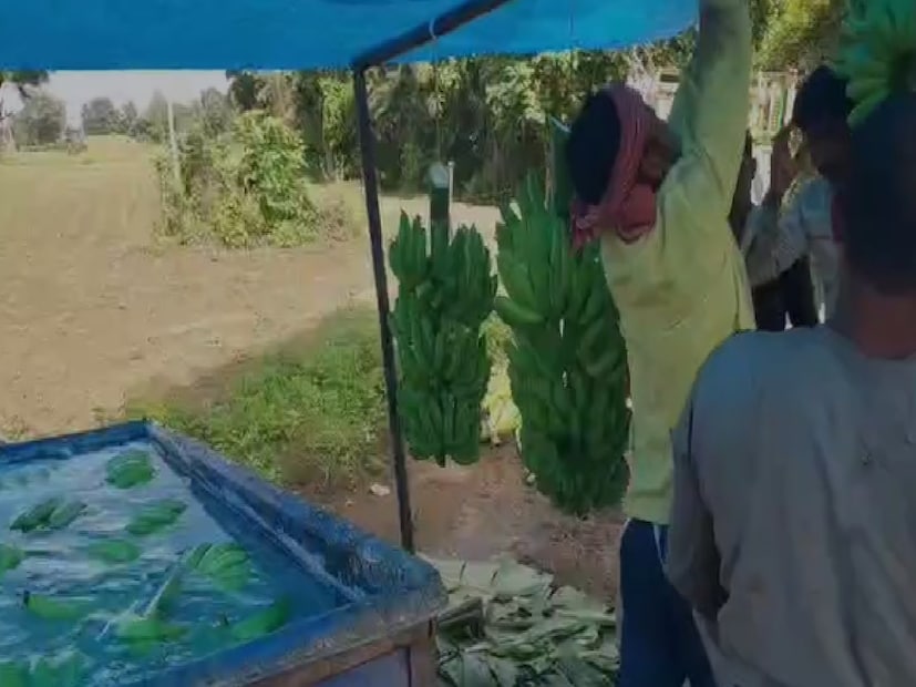 दीपक बुढाळ यांनी घेतलेल्या उच्च दर्जाच्या केळी उत्पादनाला निर्यातदारांनी चांगलीच पसंती दिली. याच उत्तम दर्जाच्या केळीचा थेट इराणला निर्यात करण्याचा व्यवहार निश्चित झाला. आतापर्यंत त्यांची २६ टन केळी प्रतिक्विंटल ८०० रुपये या चांगल्या दराने थेट इराणच्या बाजारपेठेत पोहोचली आहे. 