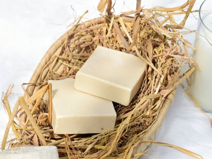  संयुक्त अरब अमिराती आणि इतर अनेक देशांमध्ये गाढवाच्या दुधापासून बनवलेला साबण मोठ्या प्रमाणात विकला जातो. दुबईसारख्या देशांत याचे प्रीमियम ब्रँड्स उपलब्ध असून तो मोठ्या प्रमाणात खरेदी केला जात आहे.