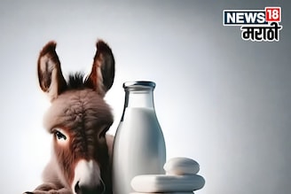 गाढविणीच्या दुधाच्या साबणाची जगभरात मागणी! 100gm साबणाची किंमत पाहून व्हाल शॉक