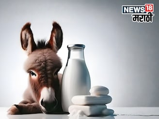 गाढविणीच्या दुधाच्या साबणाची जगभरात मागणी! 100gm साबणाची किंमत पाहून व्हाल शॉक