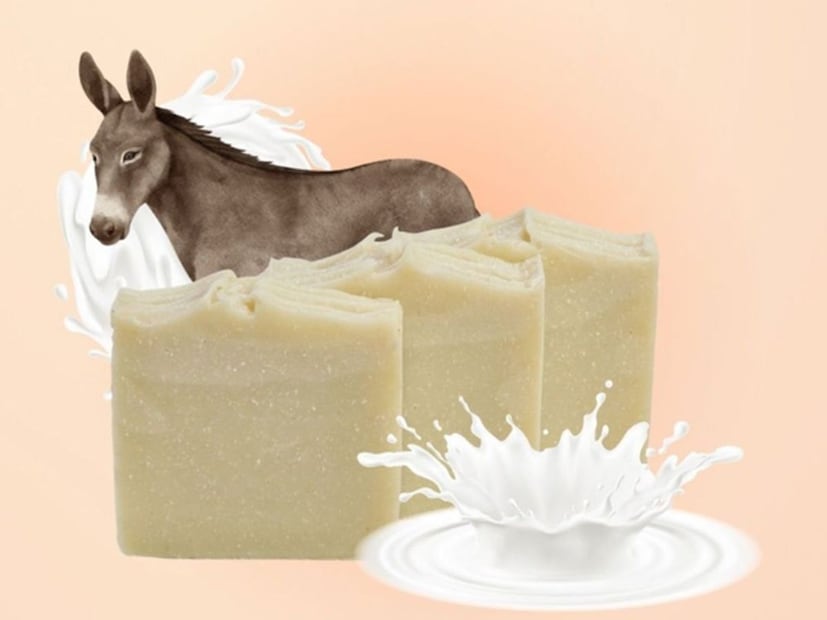  गाढविणीचे दूध त्वचेसाठी फार उपयुक्त ठरते. त्यामध्ये भरपूर खनिजे आणि प्रथिने असून ही खनिजे त्वचेला पोषण देतात आणि त्वचा मऊ ठेवण्यास मदत करते. त्वचा निखळ ठेवण्यासाठी मदत करतो.