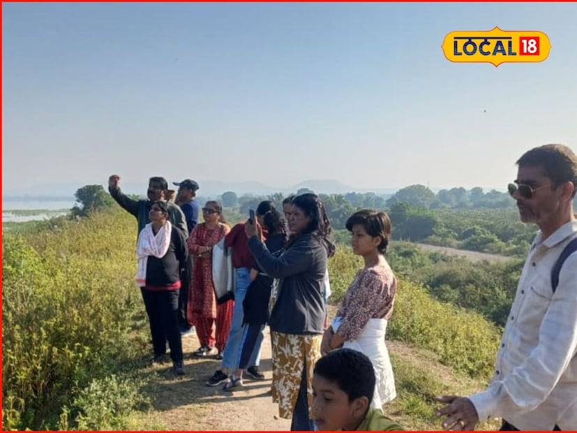 ब्लॅक-विंग्ड स्टिल्ट (शेकाट्या) हा पक्षी भारतात वर्षभर रहिवासी आणि स्थलांतरित असा आहे. भारतीय उपखंडात हा उन्हाळ्यात उत्तर भारत, वायव्य पाकिस्तान आणि अफगाणिस्तान या भागातील सरोवरे आणि नद्यांच्या काठी प्रजनन करतो. हे पक्षी मध्य आशियाई फ्लाईवेने येतात. राजस्थान, गुजरात आणि महाराष्ट्रात पाणथळ जागांवर आश्रय घेतात.