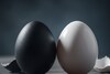 काळा Vs पांढरा Egg : कोणतं अंड आरोग्यासाठी चांगलं? प्रोटीनसाठी कोणतं बेस्ट?