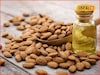 Winter Health Tips : हिवाळ्यात त्वचा राहील चमकदार, असा करा बदामाच्या तेलाचा वापर, होईल फायदाच फायदा