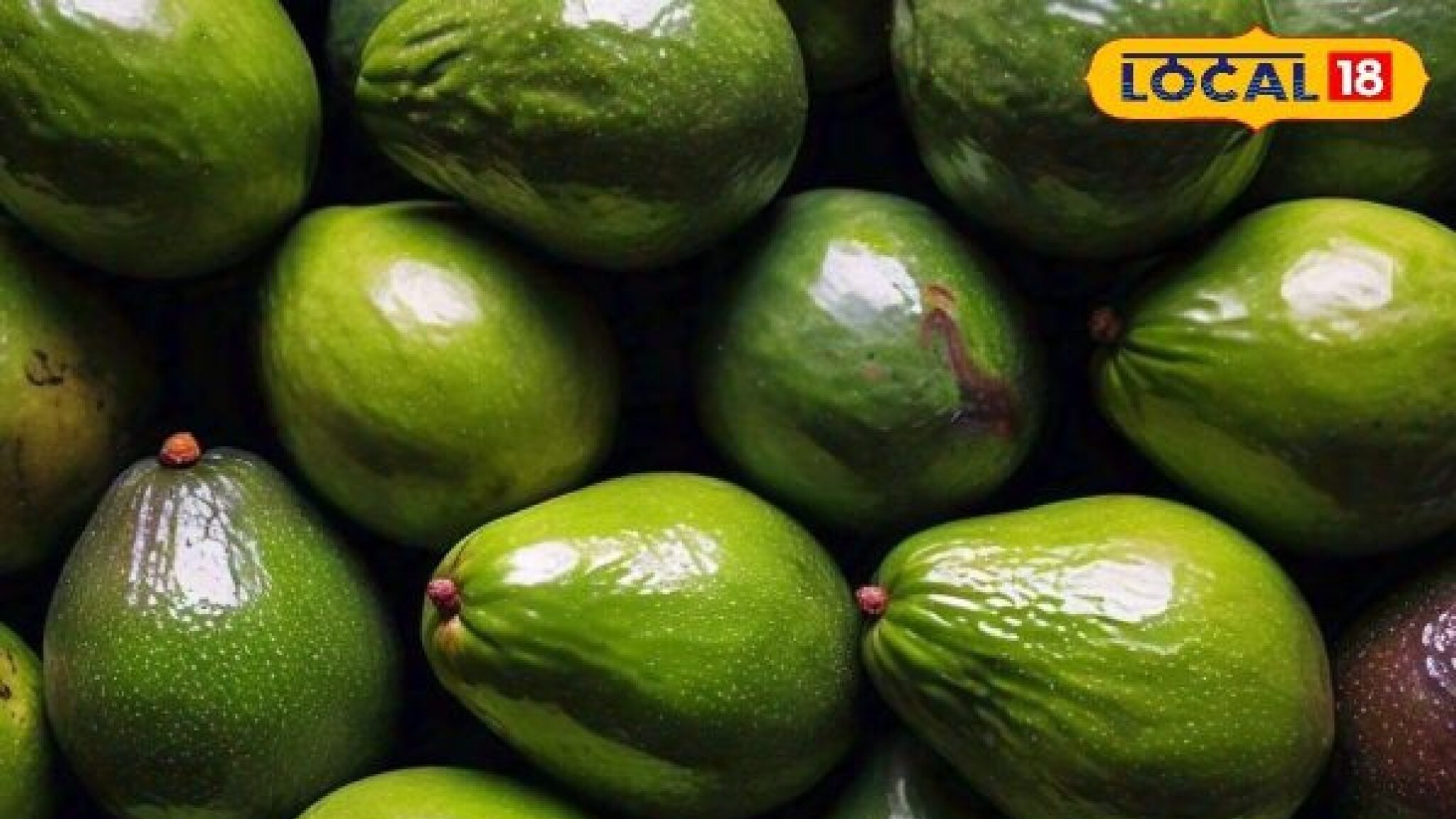 सोशल मीडियातून मिळाली माहिती, डोंगराळ भागात सुरू केली अवोकॅडो शेती, आता वर्षाची कमाई 11 लाख!