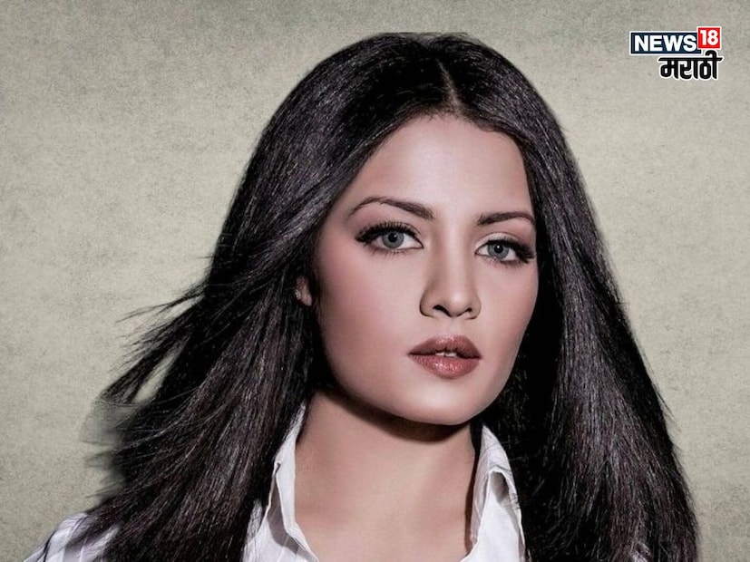 बॉलिवूड अभिनेत्री सेलिना जेटलीच्या वैयक्तिक आयुष्यात मोठा उलथापालथ झाली आहे. सेलिनाचा भाऊ UAE च्या जेलमध्ये आहे, तर दुसरीकडे सेलिनाने तिच्या फॉरेनर नवऱ्याला घरगुती हिंसाचाराच्या आरोपाखाली कोर्टात खेचलं आहे. सेलिना आणि तिचा नवरा पीटर यांनी कोर्टात डिवोर्स फाइल केला आहे.