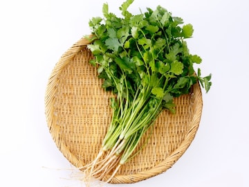 फक्त चवीसाठी नाही, 'या' आरोग्य फायद्यांसाठी खा कोथिंबीर; फायदे वाचून थक्क व्हाल फक्त चवीसाठी नाही, 'या' आरोग्य फायद्यांसाठी खा कोथिंबीर; फायदे वाचून थक्क व्हाल