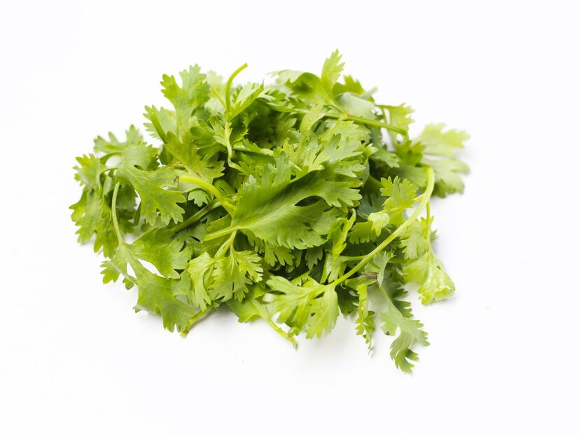 ज्यांच्या परिसरात कोथिंबीरचा वापर कमी असतो, त्यांना त्याची ही जोरदार सुगंधी चव अचानक अनोळखी आणि अस्वस्थ वाटू शकते. कधीकधी ही नापसंती जन्मजात नसून, अनुभवातूनही तयार होते.