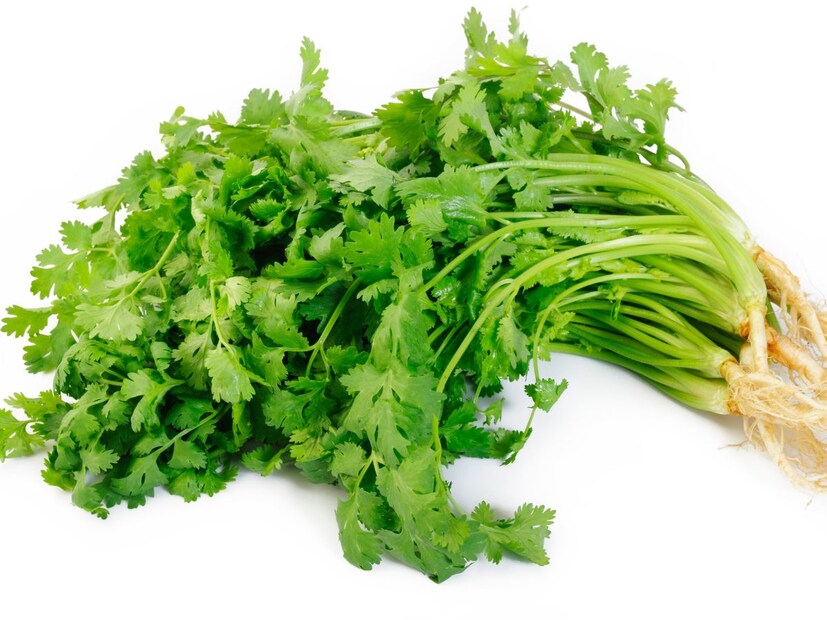 TOI च्या रिपोर्टनुसार, जर तुम्हाला कोथिंबीर खाल्ल्यावर साबणासारखी चव येत असेल, तर यामागे तुमची जेनेटिक्स कारणीभूत असू शकते. आपल्या शरीरात सुगंध ओळखण्यासाठी शेकडो रिसेप्टर जीन असतात. संशोधनानुसार ज्यांना कोथिंबीर नकोसा वाटतो, त्यांच्या शरीरात OR6A2 नावाचा ओल्फॅक्टरी रिसेप्टर जीनचा वेगळा प्रकार आढळतो. हा जीन अल्डिहाइड नावाच्या केमिकल्ससाठी अतिसंवेदनशील असतो. धनियामध्येही हे अल्डिहाइड असतात; आणि हेच यौगिक साबण किंवा क्लीनिंग प्रॉडक्ट्समध्येही वापरले जातात. त्यामुळे या जीन असलेल्या लोकांच्या मेंदूला कोथिंबीरचा वास थेट ‘साबणासारखा’ वाटतो.