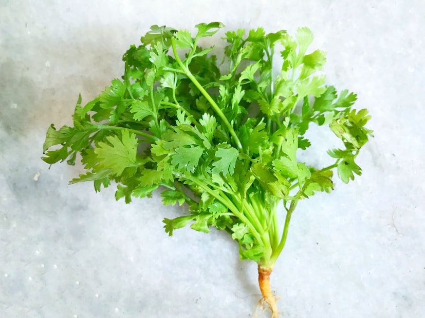 कोथिंबीरमध्ये अनेक पोषक घटक असतात, जे शरीराच्या कार्यक्षमतेला मदत करतात. अनेक लोक भाजीमध्ये ताज्या कोथिंबीरची पानं टाकून त्याची सुगंधी चव एन्जॉय करतात. मात्र काही लोकांना त्याच सुगंधात 'साबणासारखा' स्वाद जाणवतो. हा अनुभव का वेगळा असतो, याबाबत वैज्ञानिकांनी दिलेलं स्पष्टीकरण खूपच रोचक आहे.