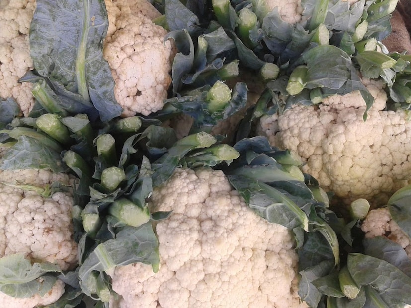 हा उपाय का फायदेशीर आहे?हळद आणि मीठ हे दोन्ही नैसर्गिक किटकनाशक आणि अँटीबॅक्टेरियल घटक आहेत. त्यामुळे फ्लॉवरमधील जंतू आणि कीटक सहजपणे नष्ट होतात आणि ते आरोग्यास सुरक्षित बनतं.