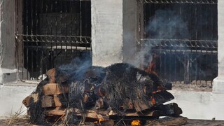 प्रतिकात्मक फोटो