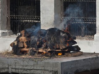 प्रतिकात्मक फोटो