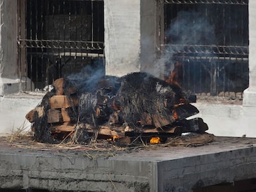 प्रतिकात्मक फोटो