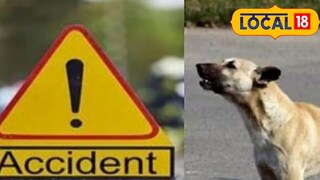 कुत्र्याला वाचवायला गेला अन् घात झाला, मित्रांसोबत लोणावळ्याला निघालेल्या तरुणाचा मृत्यू