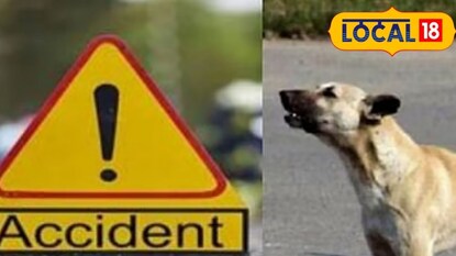 कुत्र्याला वाचवायला गेला अन् घात झाला, मित्रांसोबत लोणावळ्याला निघालेल्या तरुणाचा मृत्यू कुत्र्याला वाचवायला गेला अन् घात झाला, मित्रांसोबत लोणावळ्याला निघालेल्या तरुणाचा मृत्यू