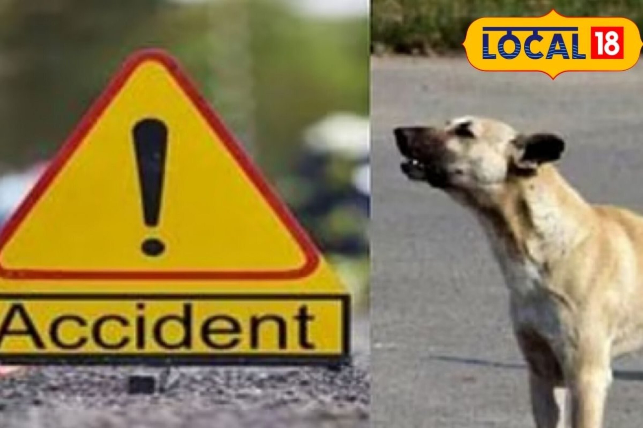 कुत्र्याला वाचवायला गेला अन् घात झाला, लोणावळ्याला निघालेल्या तरुणाचा मृत्यू