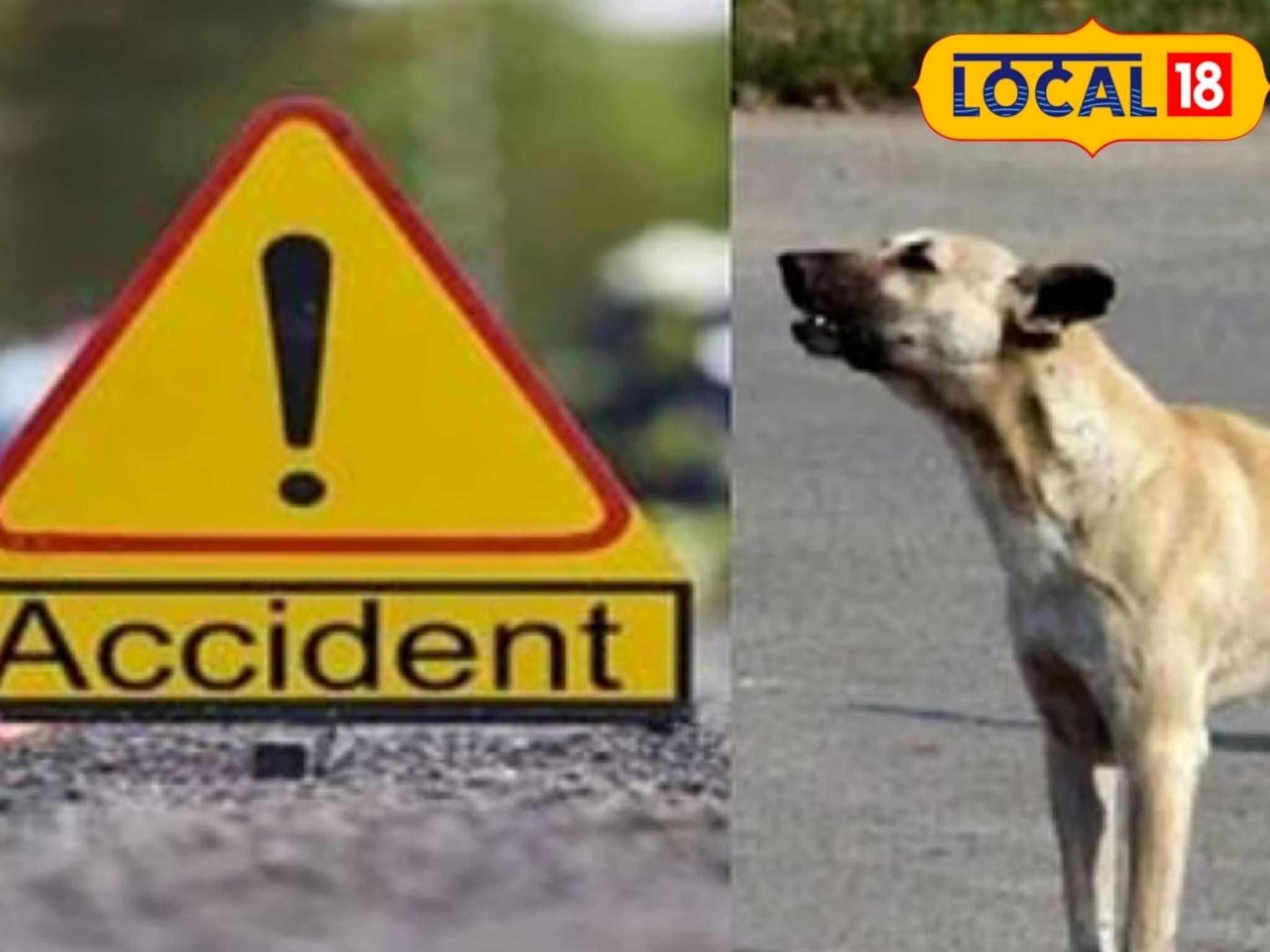 कुत्र्याला वाचवायला गेला अन् घात झाला, मित्रांसोबत लोणावळ्याला निघालेल्या तरुणाचा मृत्यू