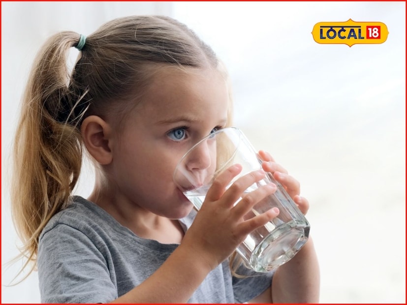 कमी पाणी पिल्याने किडनीवर गंभीर परिणाम होतो. याशिवाय किडनी स्टोन होण्याचा धोकाही वाढतो. किडनी व्यवस्थित काम करण्यासाठी पाणी खूप महत्त्वाचे आहे. जेव्हा शरीरात पाण्याची कमतरता असते तेव्हा किडणीला जास्त काम करावे लागते. त्यामुळे युरिनरी ट्रॅक्ट इन्फेक्शन किंवा ट्रॅकमध्ये जळजळ होण्याची तक्रार असते.