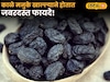 Health Tips : त्वचेची समस्या होईल दूर, हिवाळ्यात आहारात समावेश करा काळे मनुके, हे आहेत आणखी फायदे
