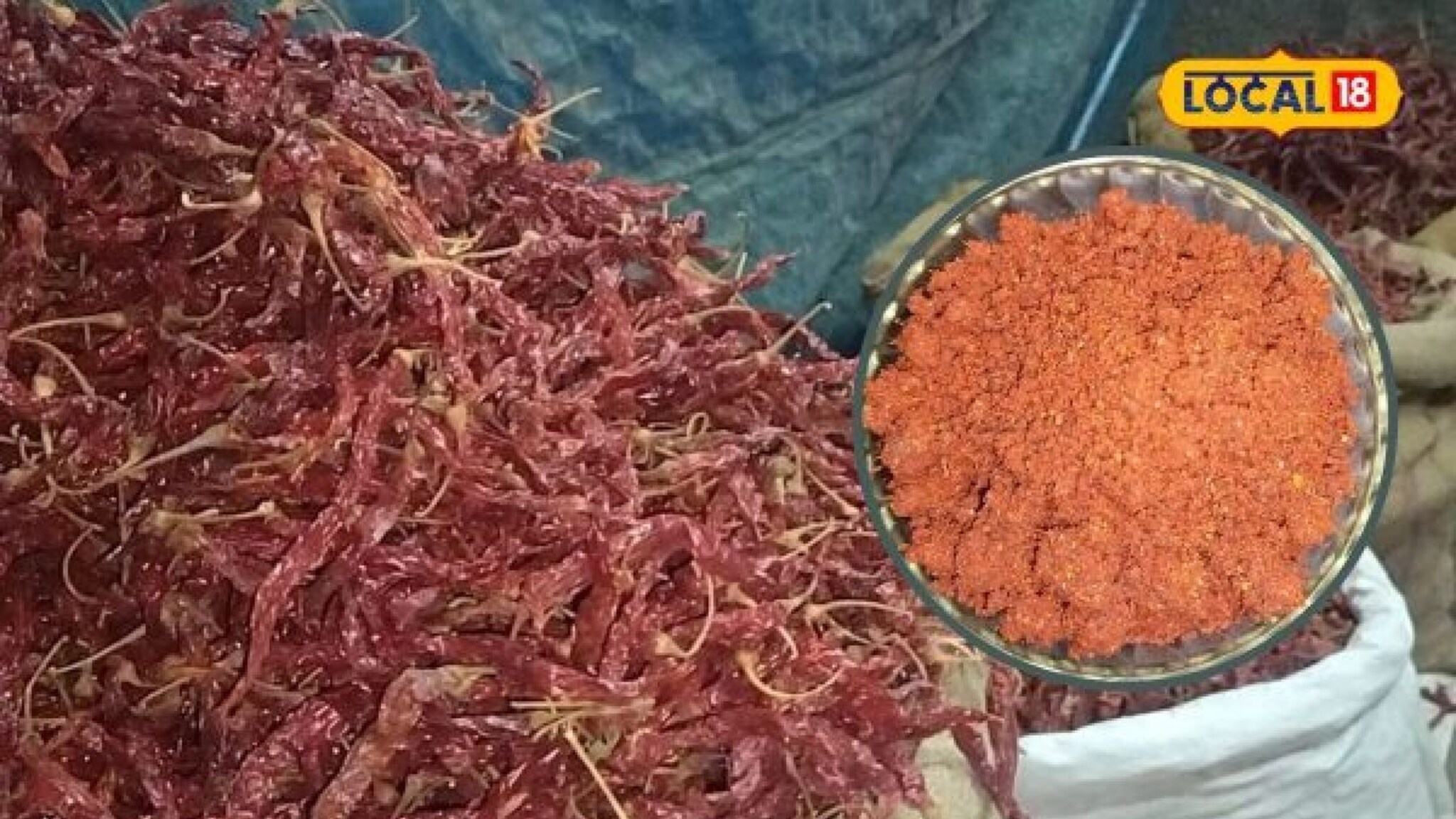 कोणत्या मिरच्यांपासून बनते कोल्हापुरी स्पेशल कांदा लसूण मसाला चटणी? कोणती मिरची असते चांगली पाहा Video