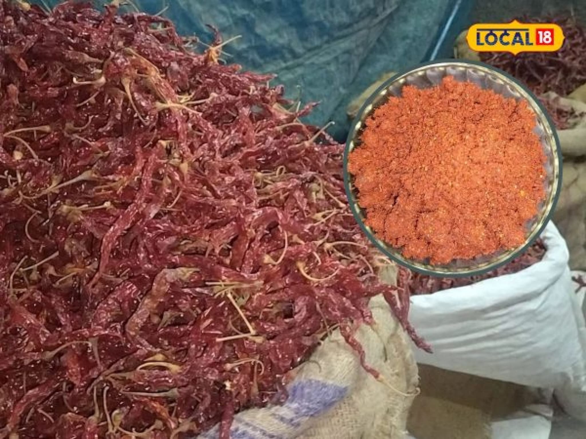 कोणत्या मिरच्यांपासून बनते कोल्हापुरी स्पेशल कांदा लसूण मसाला चटणी? कोणती मिरची असते चांगली पाहा Video