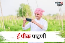 ई पीक पाहणीला या तारखेपर्यंत मुदतवाढ! मोबाईलवरुन झटपट नोंदणी कशी करायची?