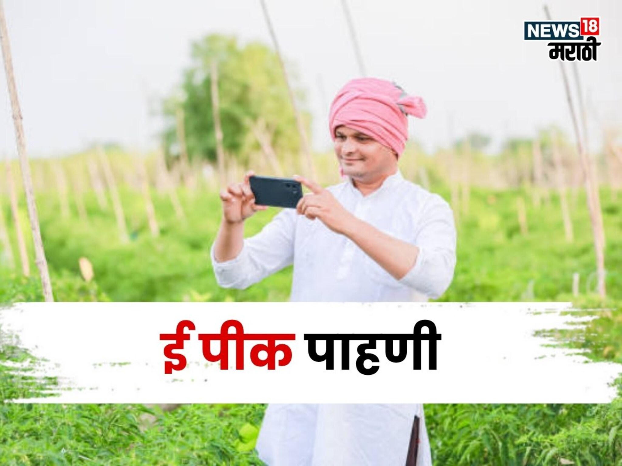 ई पीक पाहणीला या तारखेपर्यंत मुदतवाढ! मोबाईलवरुन झटपट नोंदणी कशी करायची?