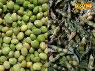 हिवाळ्यात 'तो' पदार्थ तुम्हाला बनवेल एनर्जेटिक! जाणून घ्या फायदे