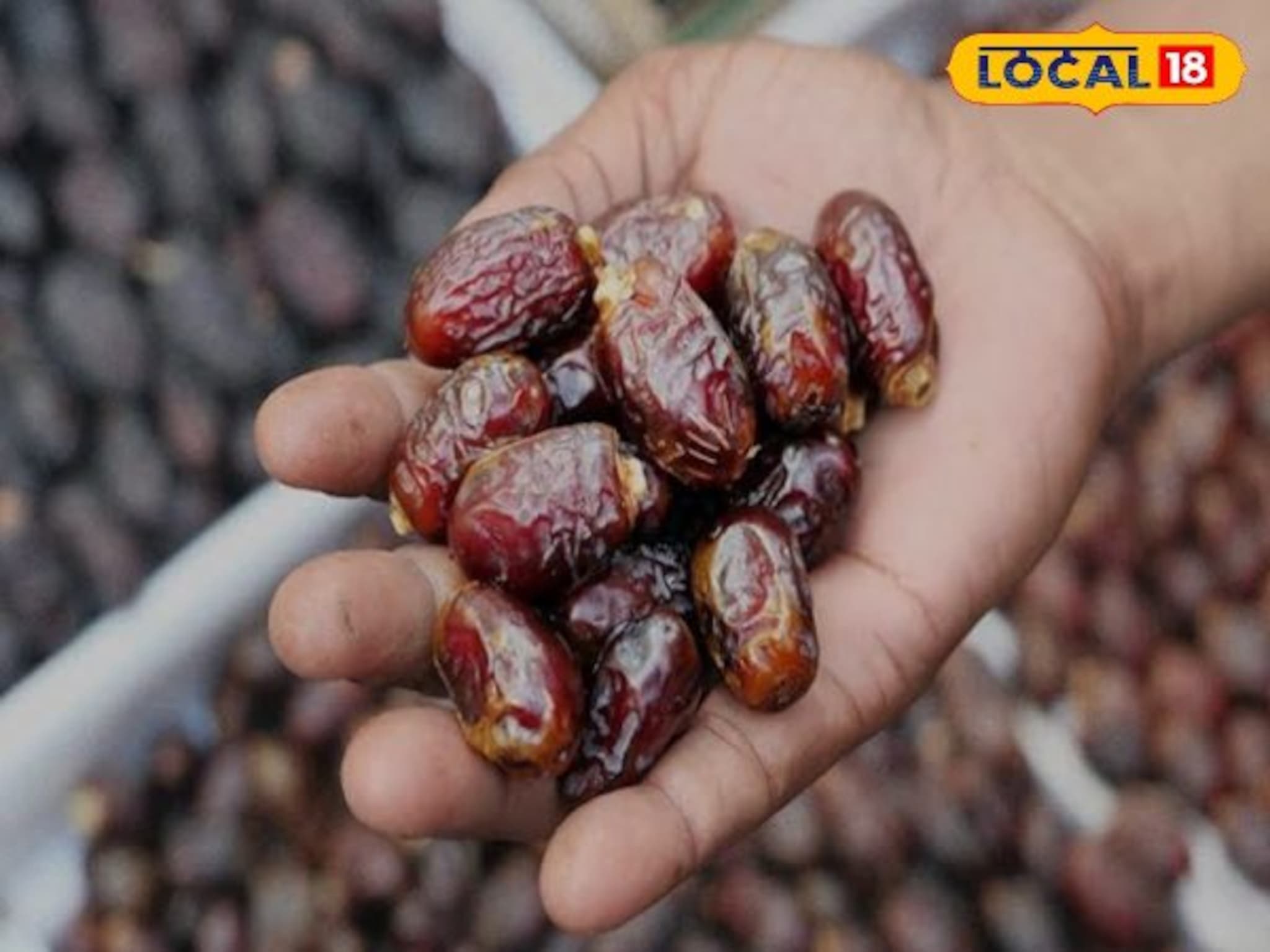 रोगप्रतिकारक शक्ती वाढण्यास होईल मदत, पाहा खारीक खाण्याचे गुणकारी फायदे