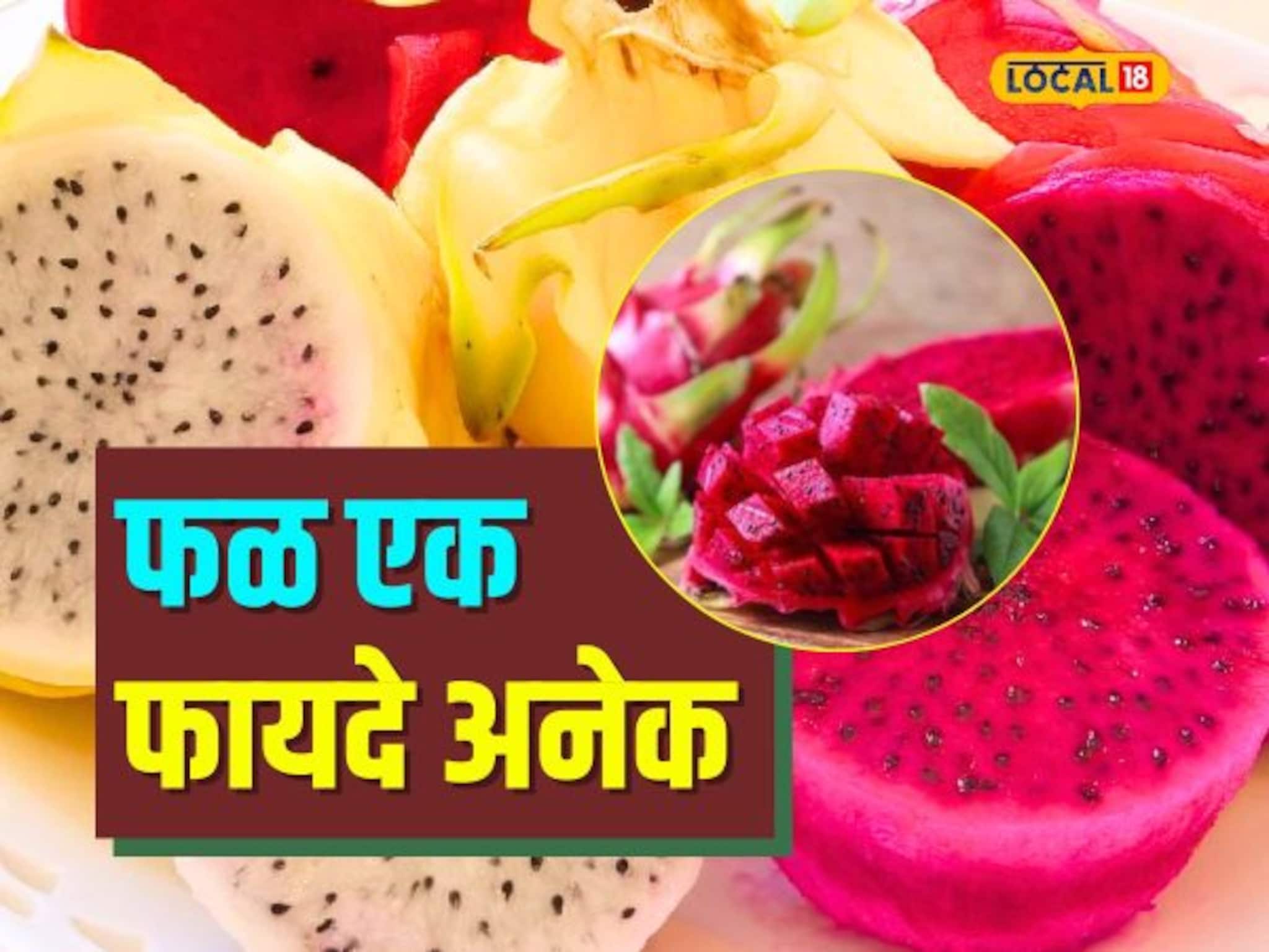 फॅट फ्री आणि भरपूर फायबर! Dragon fruit वजन कमी करण्यासाठी सर्वोत्तम