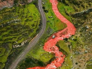 प्रतिकात्मक फोटो प्रतिकात्मक फोटो