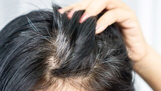 प्रतिकात्मक फोटो