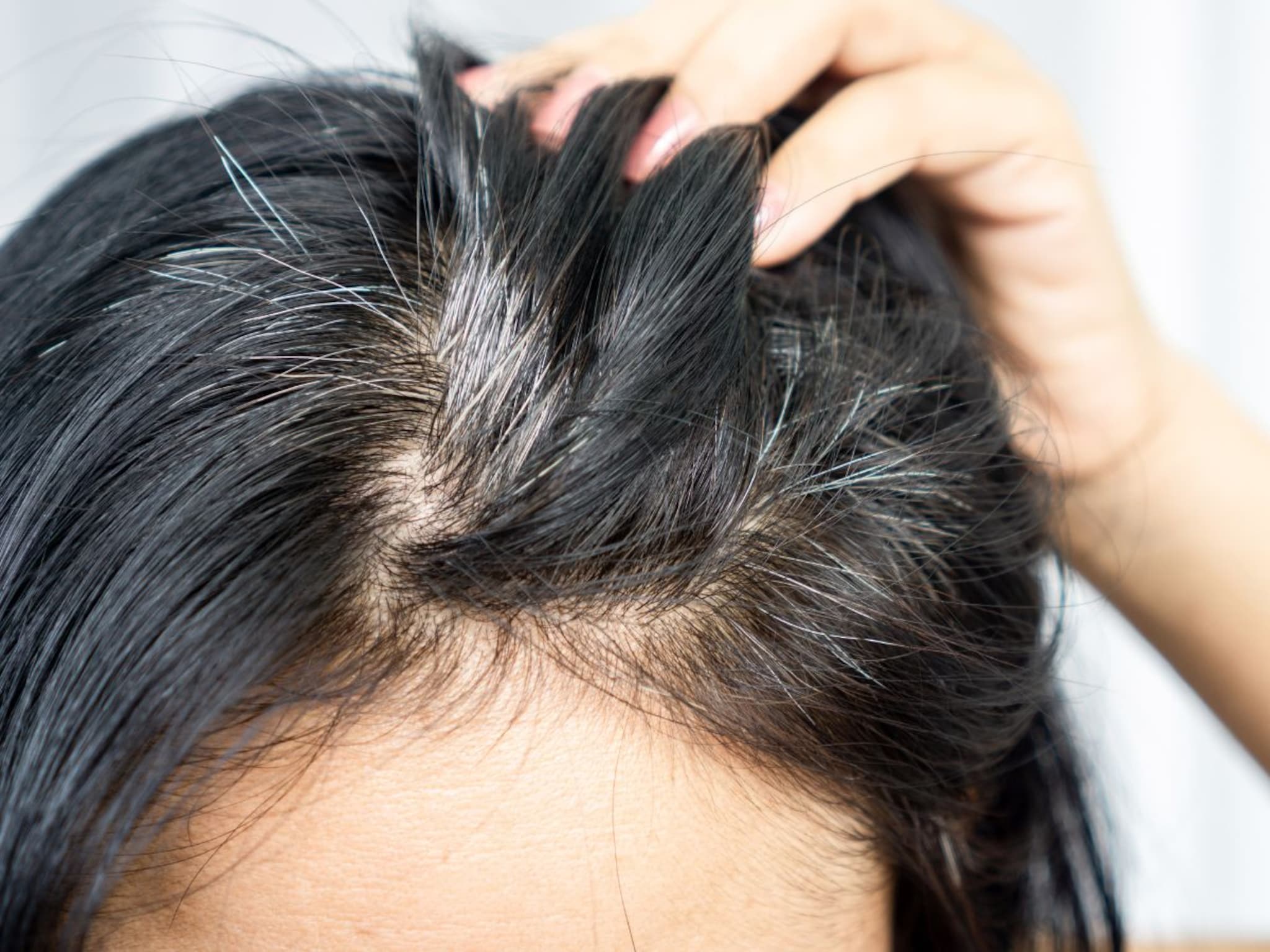 खरंच 1 पांढरा केस तोडल्याने सगळे केस पांढरेच होतात? काय आहे यामागचं सत्य?