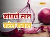 कांद्याची साल फेकून देण्यापूर्वी करा विचार, केसांसाठी आहेत आश्चर्यकारक फायदे