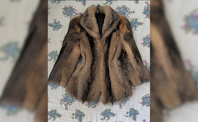 फॉक्स फर कोट: फॉक्स फर जॅकेट किंवा कोट हे दर हिवाळ्यात फॅशन ट्रेंड राहतात. डेनिम जीन्स आणि लेदर पँटसह स्टाईल केलेले, ते तुमच्या एकूण लूकमध्ये एक सुंदरता जोडू शकतात. हे जॅकेट फक्त ₹500 मध्ये सहज उपलब्ध आहेत.