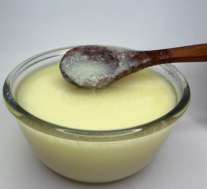 वजन आणि ऊर्जा: वजन कमी करू इच्छिणाऱ्यांसाठी गायीचे तूप चांगले मानले जाते, कारण त्यात फॅट कमी असते. ज्यांना वजन वाढवायचे आहे किंवा खूप शारीरिक श्रम करतात, त्यांच्यासाठी म्हशीचे तूप अधिक ऊर्जा आणि ताकद देते. टीप : (वरील माहिती सामान्य माहितीवर आधारीत आहेत. न्यूज 18 मराठी याची पुष्टी करत नाही. आपला उद्देश तुमच्यापर्यंत माहिती पोहोचवण्याचा आहे.)