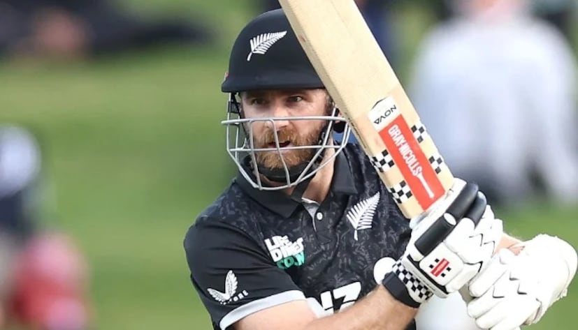 विल्यमसन म्हणाले, 