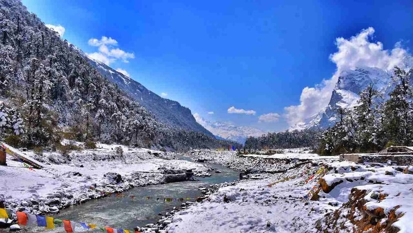 युमथांग व्हॅली आणि झिरो पॉइंटची जादू: सकाळच्या थंड वाऱ्यात युमथांग व्हॅली एक्सप्लोर करा. रंगीबेरंगी फुलांनी भरलेली दरी आणि बर्फाच्छादित जमीन एखाद्या स्वप्नभूमीसारखी दिसते. जर हवामान तुमच्या बाजूने असेल तर झिरो पॉइंटला नक्की जा, जिथे निसर्ग सर्वात सुंदर आहे.