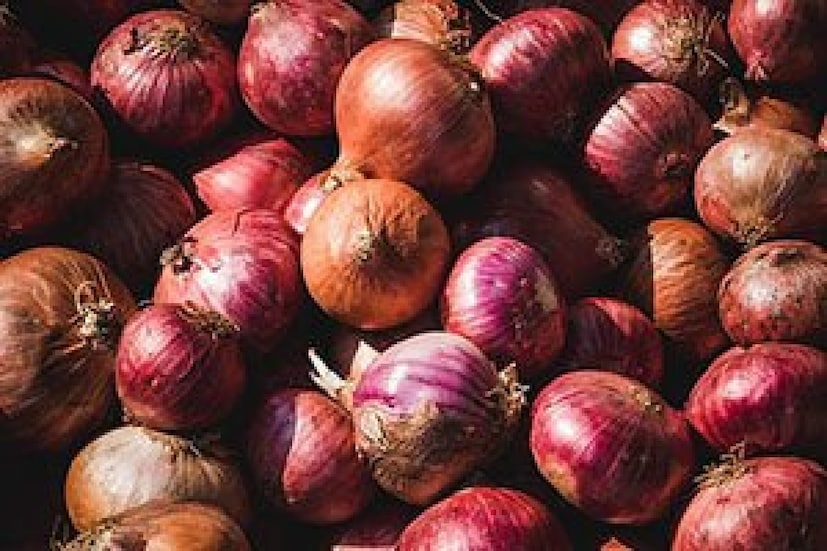 कांदा खरेदी करताना निवड योग्य नसेल, तर साठवताना तो सडून जातो आणि आपले आर्थिक नुकसान होते. त्यामुळे, चांगला आणि दीर्घकाळ टिकणारा कांदा कसा निवडावा, यासाठी खालील गोष्टी लक्षात ठेवणे आवश्यक आहे.