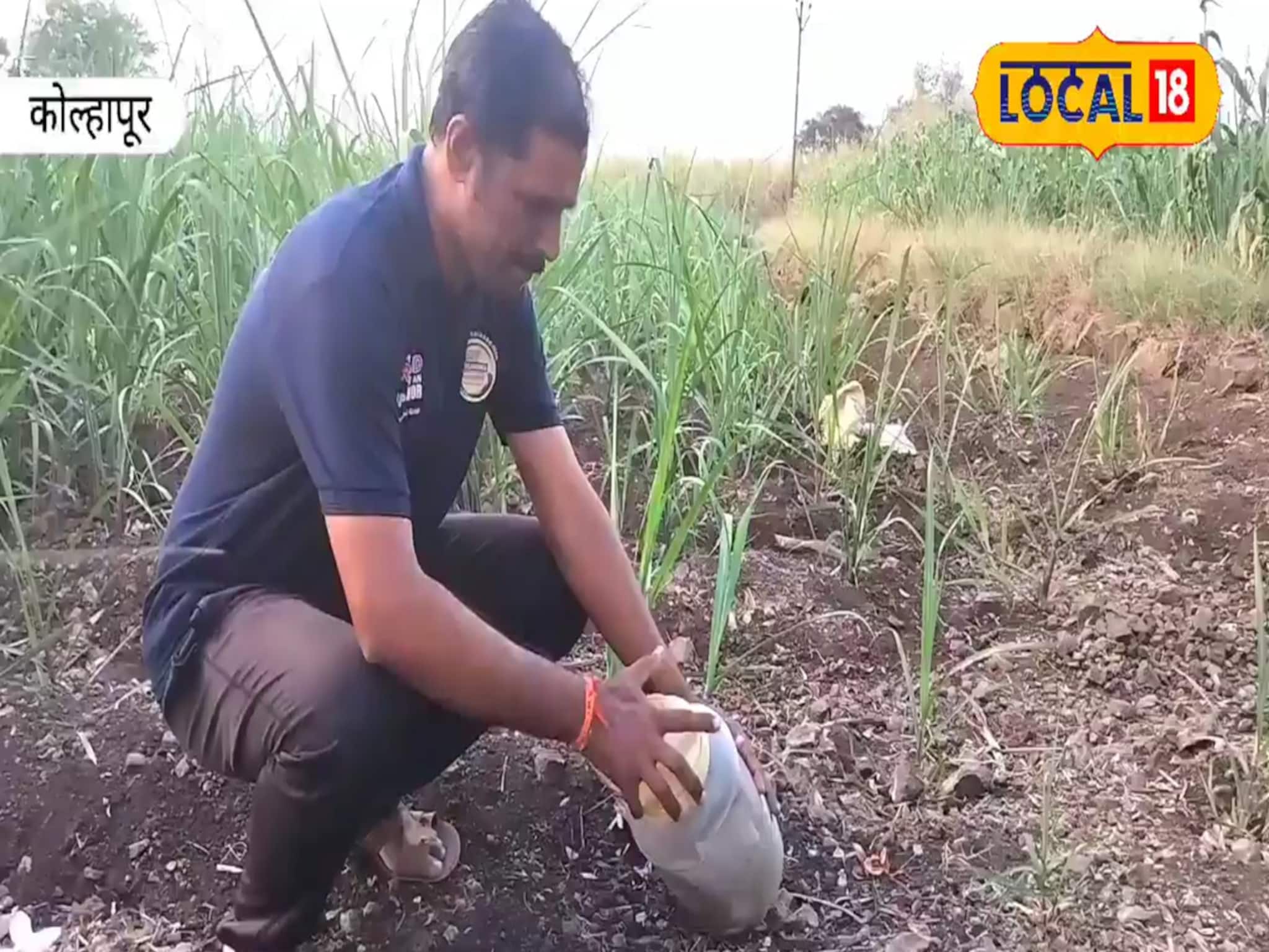 सर्पमित्र व्हायचंय? जीवावर बेतू शकते ही चूक, पाहा मोलाचा सल्ला, Video