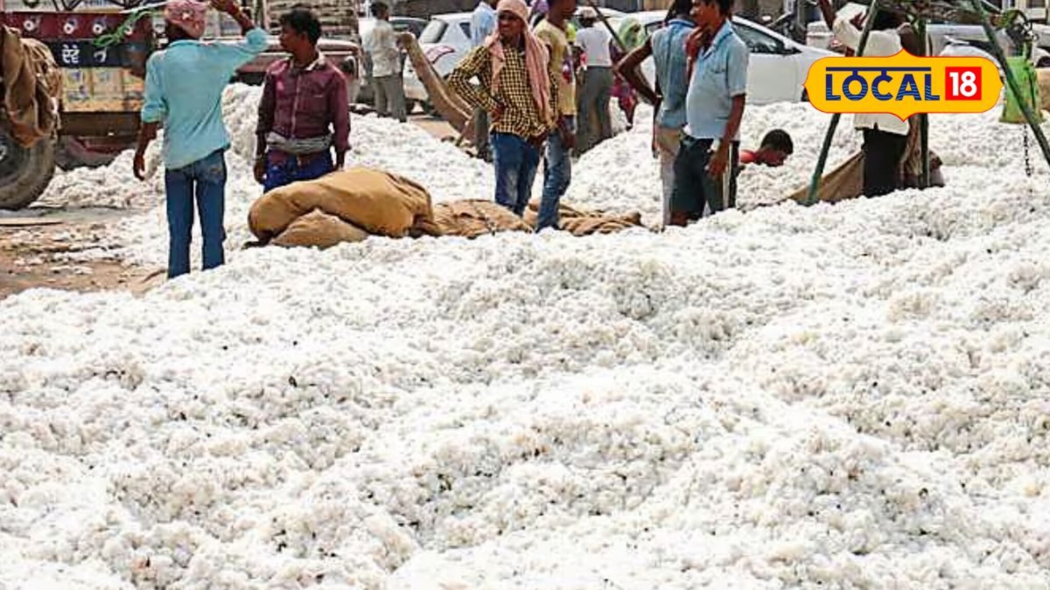 शेतकऱ्यांसाठी गूड न्यूज, CCI मार्फत हमीभावाने कापसाची खरेदी सुरू, जालन्यात काय मिळाला भाव?