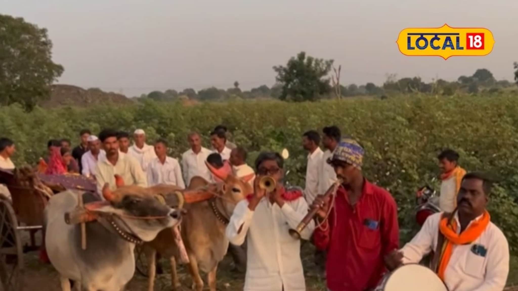 ती खरंच 'भाग्यलक्ष्मी' होती, पैसा आला! गायीला वाजत गाजत दिला अखेरचा निरोप, VIDEO
