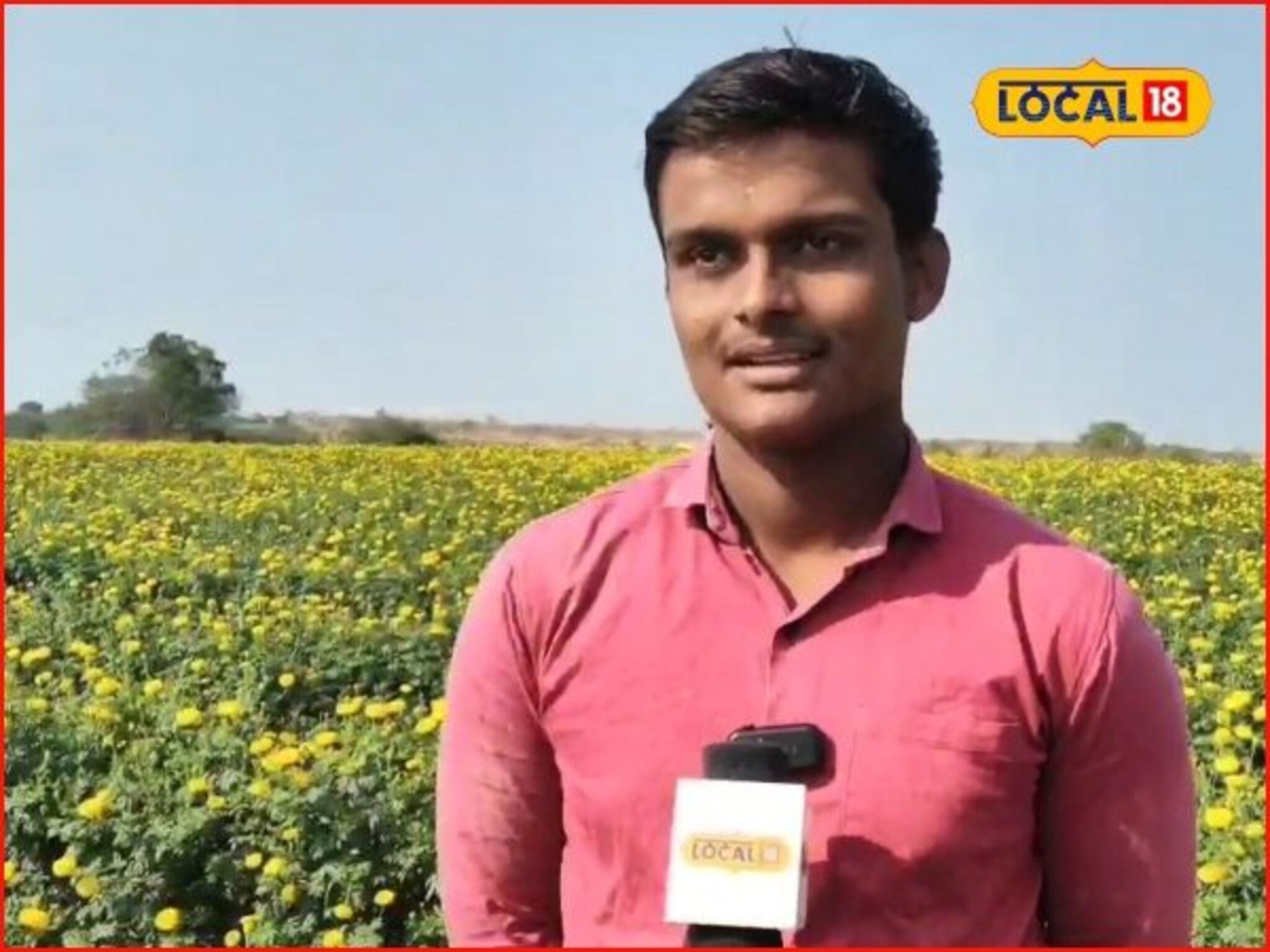Marigold Farming: शेतीत काय आहे? हे बारावीत शिकणाऱ्या गौरवला विचारा, पाऊण एकरात झेंडू लावला, कमाई…